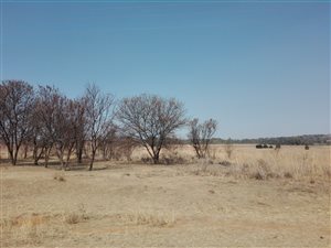 5.1 ha Farm in Rietfontein