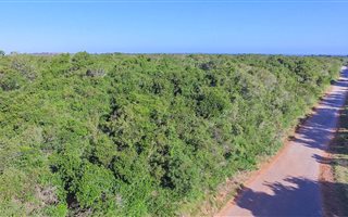 11.5 ha Land available in Theescombe