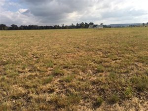 1681 m² Land available in Howick