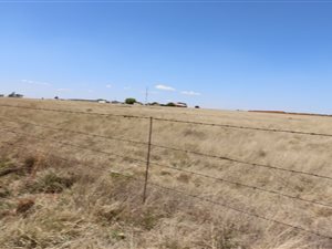 1 ha Land available in Martindale