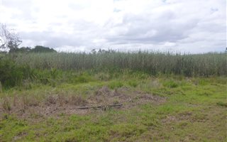 4 ha Farm in Baardskeerdersbos