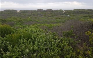 1775 m² Land available in Myoli Beach