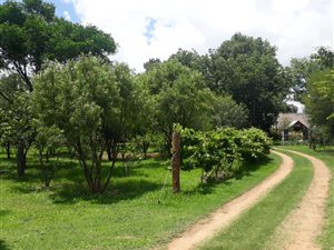 457 ha Farm in Sasolburg