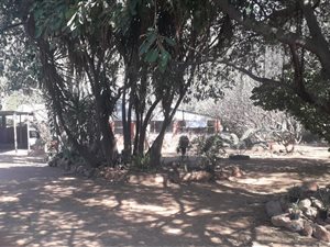 21.4 ha Smallholding in Honingnestkrans