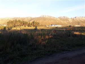 1 ha Farm in Firlands