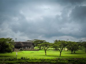 7636.8 ha Farm in Estcourt