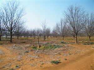 354 ha Farm in Klerksdorp