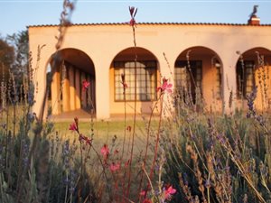 34 ha Farm in Howick