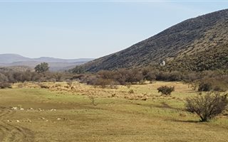 1750 ha Land available in Olifantshoek