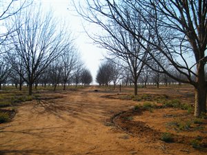 468 ha Farm in Klerksdorp