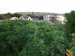 736 m² Land available in Plettenberg Bay