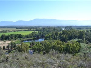 94.8 ha Farm in Swellendam
