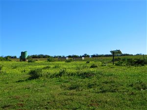 101 ha Farm in Albertinia