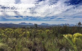 300 m² Land available in Gondwana Game Reserve