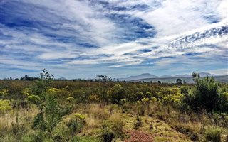300 m² Land available in Gondwana Game Reserve