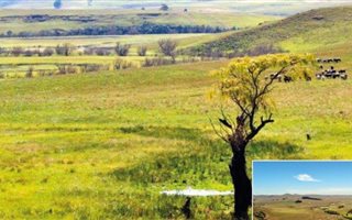 162 ha Farmland in Harrismith