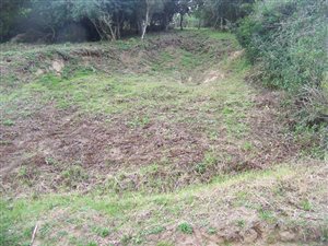 1706 m² Land available in Mount Pleasant