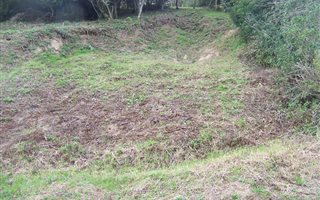 1706 m² Land available in Mount Pleasant