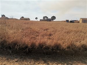 1983 m² Land available in Jameson Park