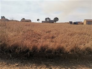 1983 m² Land available in Jameson Park