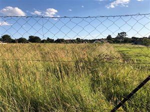 1 ha Farm in President Park