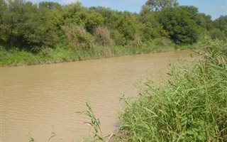 175 ha Farm in Bloemfontein Rural