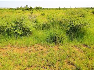 8.8 ha Land available in Wonderboom