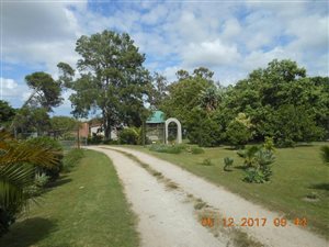 86.2 ha Farm in Uitenhage Central