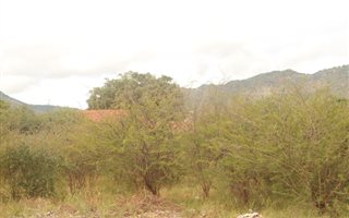 1195 m² Land available in Burgersfort
