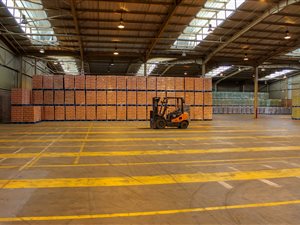 7853 m² Industrial space in Alrode