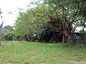 852 m² Land available in Numbi Park