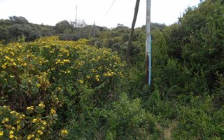 1048 m² Land available in Bothastrand