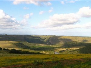 1450 ha Farm in Grahamstown