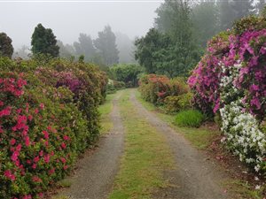 4 Bed House in Hogsback