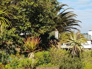 3 Bed House in Albertinia