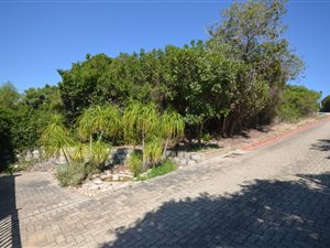 972 m² Land available in Keurboomstrand