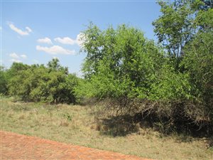 1.1 ha Land available in Leeuwfontein