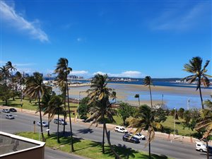 1 Bed Apartment in Durban CBD
