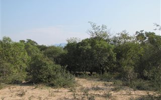1 ha Land available in Moditlo Nature Reserve