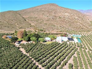 46 ha Farm in McGregor