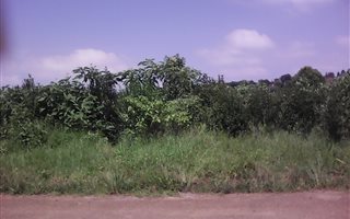 1115 m² Land available in Graskop