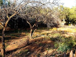 901 m² Land available in Oudtshoorn
