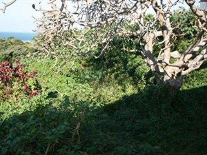 6233 m² Land available in Ramsgate