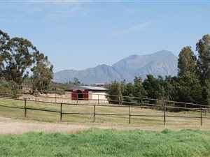 250 ha Farm in Tulbagh