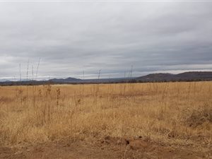 387 ha Farm in Mokopane