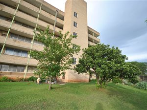2 Bed Apartment in Pioneer Park