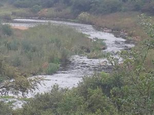 1000 m² Land available in Presidentsrus