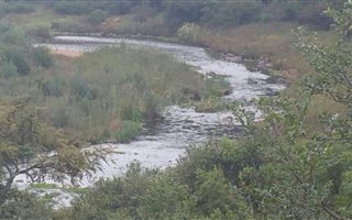 1000 m² Land available in Presidentsrus