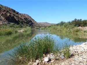 210 ha Farm in Vanwyksdorp