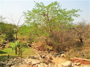 1729 m² Land available in Kampersrus AH